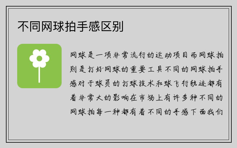 不同网球拍手感区别